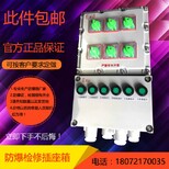 BXM53-8/16K32XD明装挂式防爆照明配电箱图片2