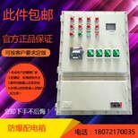BXM53-8/16K32XD明装挂式防爆照明配电箱图片3