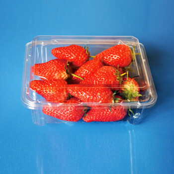 草莓盒生产厂家,青岛高力特,草莓包装盒批发