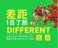 广东东莞石材行业加工验厂系统生成的考勤数据更逼真就是真的图片4