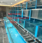 白云区人和定做海鲜池电话-白云区酒楼海鲜池定做规格图片4