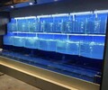 云浮饭店海鲜池定做广东云浮土建专业海鲜池定做