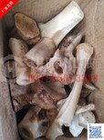 澳门批发鸡骨头粉碎机-鸡骨头粉碎机报价图片1