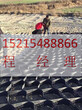 株洲超声波焊接格室生产线售后/天元区土工格室总代直销/蜂巢约束系统湖南地区施工指导