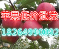 河南平顶苹果批发价格美八苹果批发苹果批发市场
