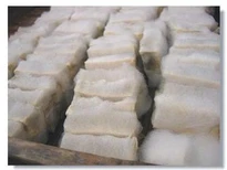 毛霉的包囊孢子腐乳毛霉菌种毛豆腐菌种毛霉菌粉安徽毛豆腐图片2