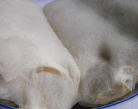 毛霉的包囊孢子腐乳毛霉菌种毛豆腐菌种毛霉菌粉安徽毛豆腐图片0