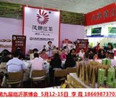第九届山东临沂茶博会图片