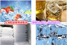 普陀区降温冰块大型户外商务活动图片3