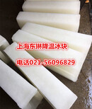 普陀区降温冰块大型户外商务活动图片5