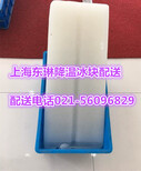 普陀区降温冰块大型户外商务活动图片2