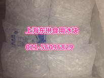 普陀区降温冰块大型户外商务活动图片4