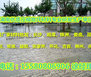 衡阳珠晖区压模地坪科技有限公司，厂家批发：155-8080-6906