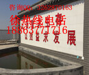 豆制品加工设备价格是多少钱？