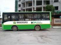 图片0