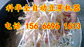 图片0