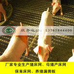 养猪漏粪钢丝网价格&湖南养猪漏粪钢丝网&养猪漏粪钢丝网厂家2017年3月8日14:13更新图片4