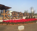 上海长兴岛郊野公园拓展部承办团队拓展训练亲子活动企业家庭日