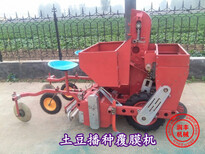起垄高低可调播种机地膜覆盖土豆播种机大垄双行土豆播种机图片1