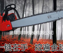 一机多用挖树机树木移栽断根机三分钟断根挖树机图片