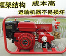 果园灭虫喷雾器汽油打药机园林喷雾器喷雾器价格图片