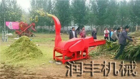 铡草粉碎揉搓机锤片式揉搓机自动进料揉搓机图片0