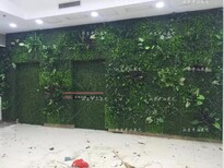 丰台区仿真绿植墙专卖品质优仿真植物墙定做图片1