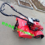 泰安四驱果园微耕机小型微耕机厂家图片0