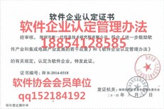 2019双软企业到底是什么，济南如何能成为双软认证企业图片4