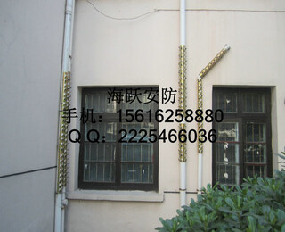 图片0