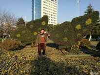 垂直风洞梦幻雨屋水上冲浪五色草造型道具出租租赁图片3