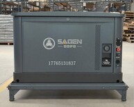 德国萨登30kw静音汽油发电机型号DS30JQD多少钱图片2