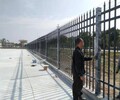 广东汕头铁艺艺术护栏市政安全围栏耐腐蚀使用寿命长锌钢厂区隔离栏厂家
