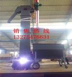 三沙制药行业斗式提升机水泥粉链条式上料机产品咨询图片2