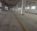 东莞城区西城厂房水泥地起砂处理、车间旧水泥地面翻新