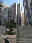 图片0