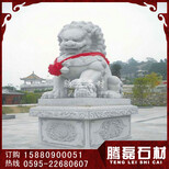镇宅石雕狮子狮子石雕厂家腾磊图片5