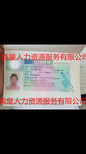 出国劳务荷兰奶粉厂招聘普工月薪两万以上包吃住图片3
