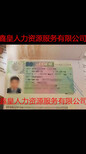 出国劳务荷兰奶粉厂招聘普工月薪两万以上包吃住图片5