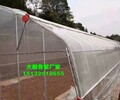 德兴32镀锌管暖棚批发价格3070椭圆管