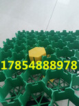 芜湖停车位植草格厂家绿化图片3