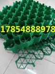 芜湖停车位植草格厂家绿化图片1