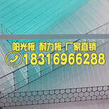 清远阳光板多少钱一平方天塑建材图片2