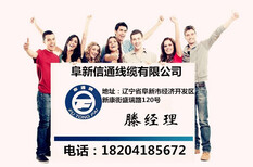 GYFTY-16B1光缆单模光缆非金属加强件光缆国标光缆图片3