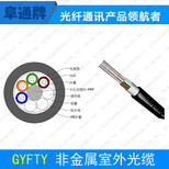 GYFTY-16B1光缆单模光缆非金属加强件光缆国标光缆图片1