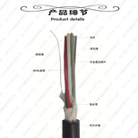 GYFTY-16B1光缆单模光缆非金属加强件光缆国标光缆图片2