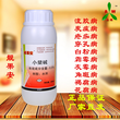 豆角疫病用什么药防治图片