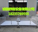 加重杠梁带双面食槽双体仔猪保育床小猪饲养围栏优质保育栏养猪设备批发图片