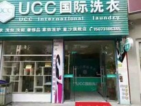 图片0