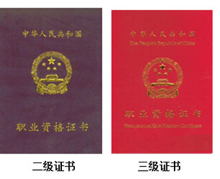 图片0